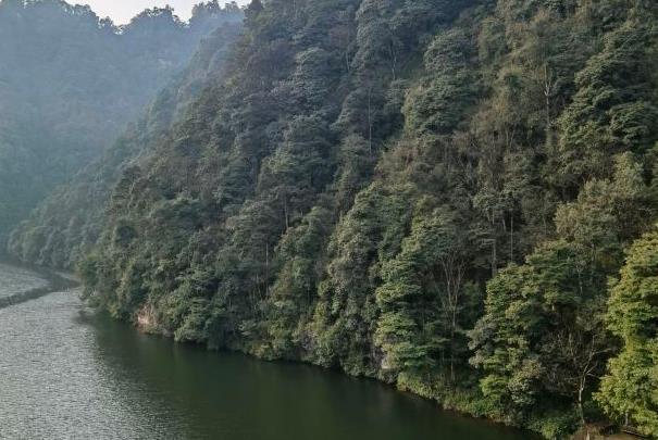 重慶夏天避暑最涼快的地方是哪里