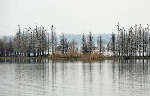 武汉东湖国家湿地公园在哪里?怎么去?