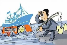 天津禁渔期2022年 天津禁渔期从什么时候开始
