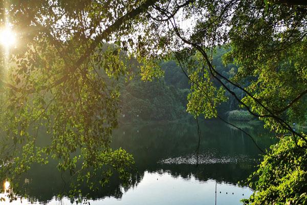 廣州有哪些好玩的免費公園