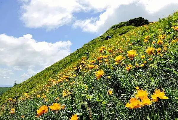 石家莊露營地點推薦