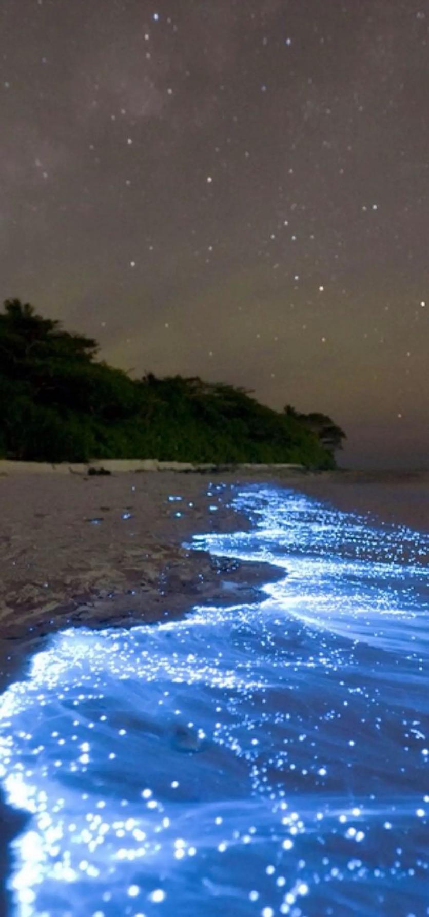 浙江北麂岛繁星进海奇景正在哪看?蓝眼泪几月份会呈现?