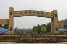 北京野生动物园5月20日起恢复开园