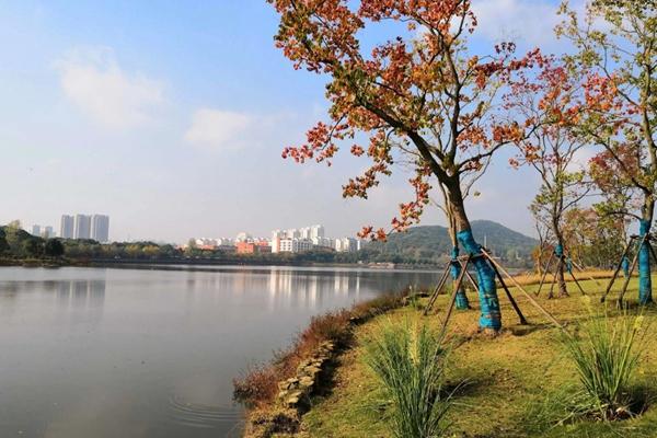 東湖綠道騎行圖片 東湖綠道騎行風景圖