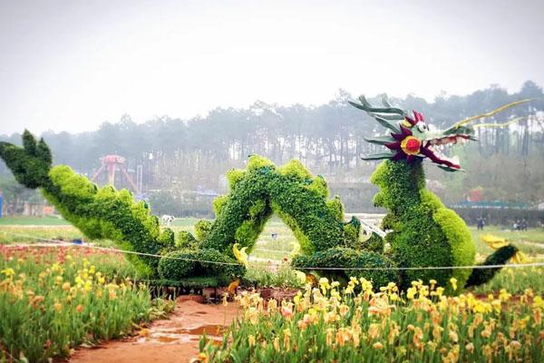 湖南省森林植物园开放时间2022