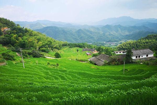 浏阳旅游必去景点 六大值得去玩的地方