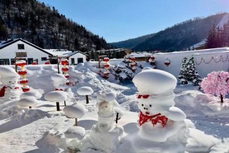 雪乡国家森林公园旅游攻略-门票价格-景点信息
