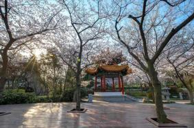 徐州有哪些免費的公園景區值得去