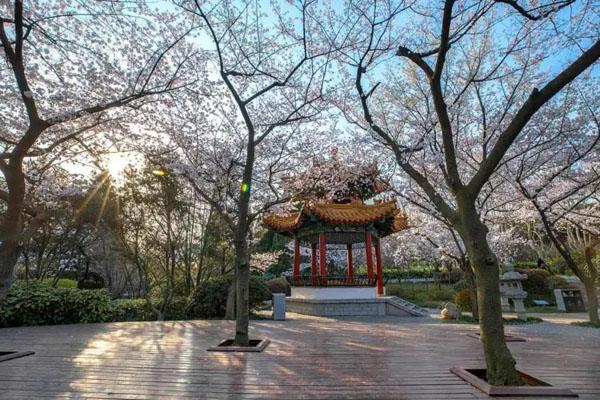 徐州有哪些免费的公园景区值得去