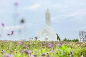 2023端午节成都周边一日游最佳景点