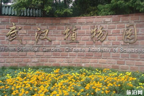 武汉植物园适合拍照吗