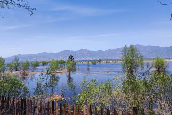 北京湿地公园在哪里哪个好玩 避暑旅游好去处