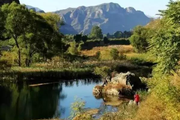 北京湿地公园在哪里哪个好玩 避暑旅游好去处