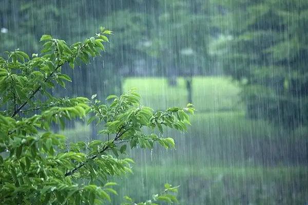 2022杭州梅雨季节是什么时间 杭州入梅出梅时间
