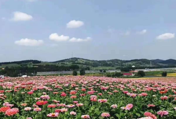 长沙周边露营去哪 哪里可以露营