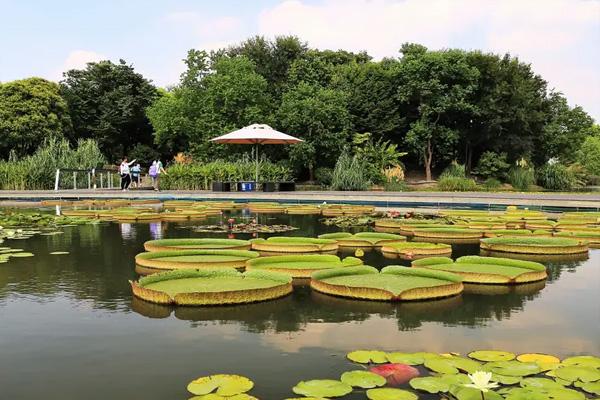 上海辰山植物園一日游攻略