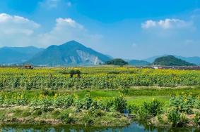 杭州西湖区小众打