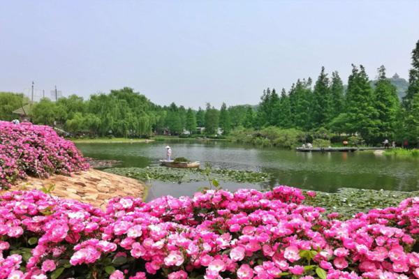 上海辰山植物园游览路线