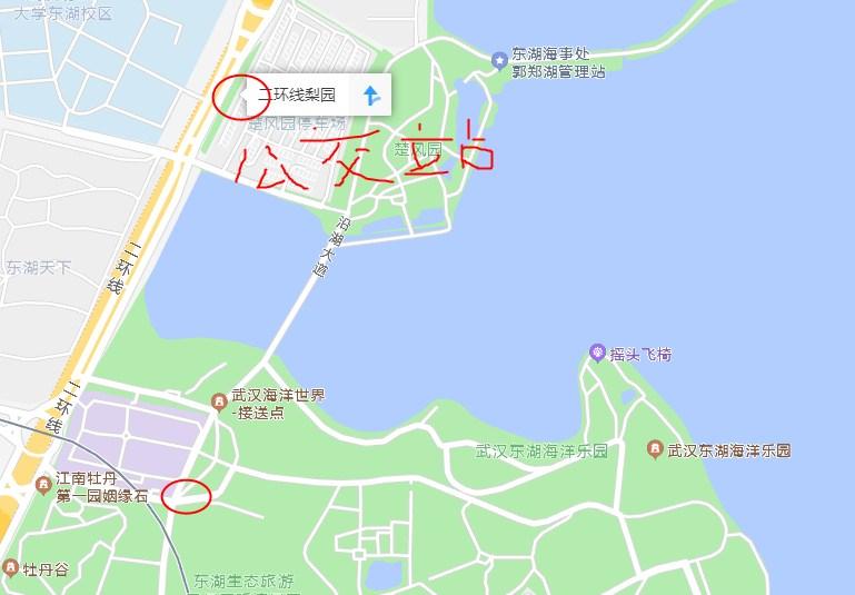 武汉东湖海洋世界在哪里?附停车攻略