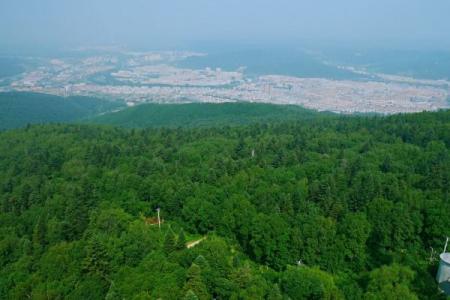 2022兴安森林公园旅游攻略 - 门票 - 开放时间