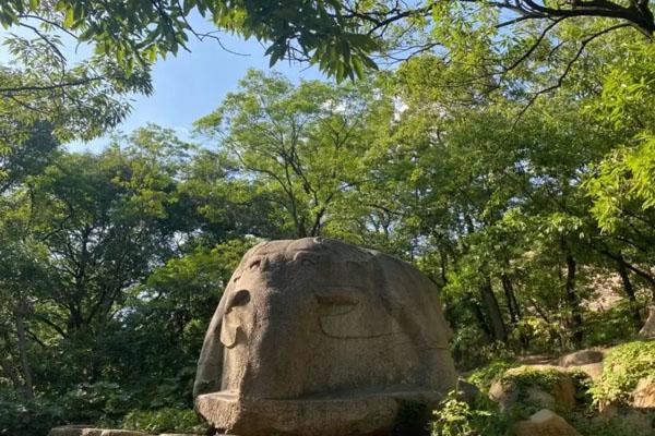 連云港孔望山門票多少錢 附預(yù)約流程及優(yōu)惠政策