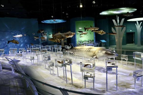重庆自然博物馆开放时间2022