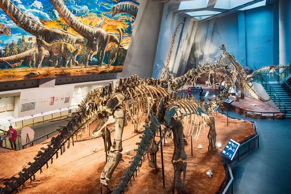 重庆自然博物馆开放时间2022
