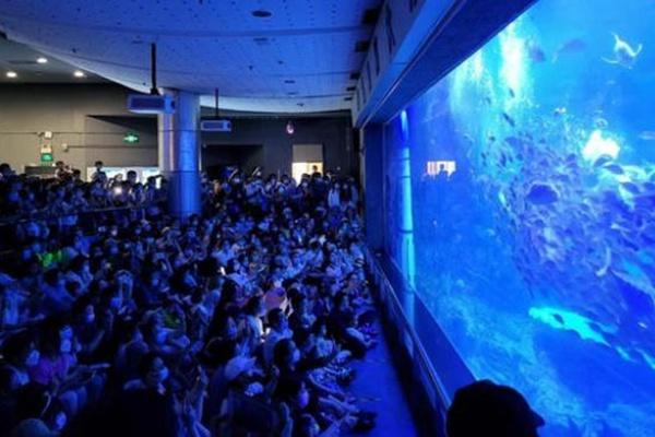 青岛海底世界门票优惠政策2022