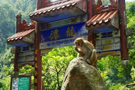 2023桂平龙潭国家森林公园门票价格 - 游玩攻略 - 景点介绍 - 地址 - 交通 - 天气 - 电话 - 开放时间