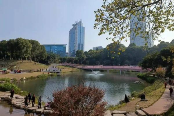 重庆人少景美的公园推荐
小众公园景点