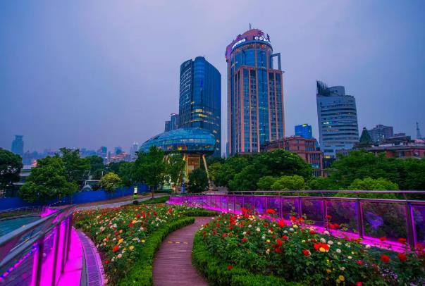 2022上海哪里可以看绣球花 绣球花最佳观赏点