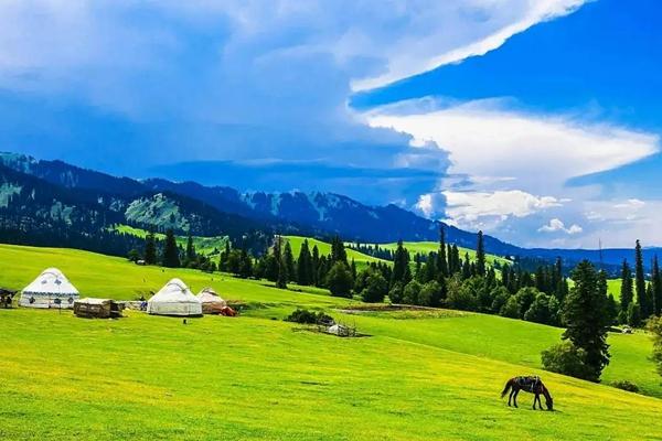 新疆有哪些草原可以玩 新疆草原景点推荐