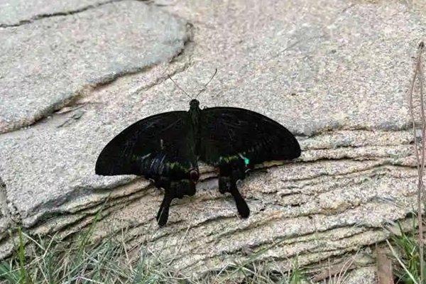 東湖魔獸城堡和飛鳥世界哪個好玩