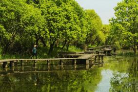 2022杭州西溪湿地