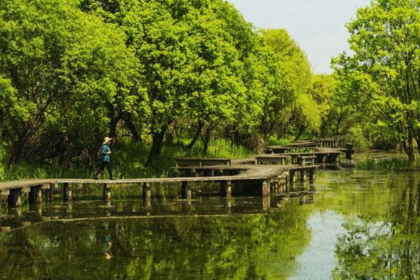 2022杭州西溪湿地公园门票多少钱 附免票政策