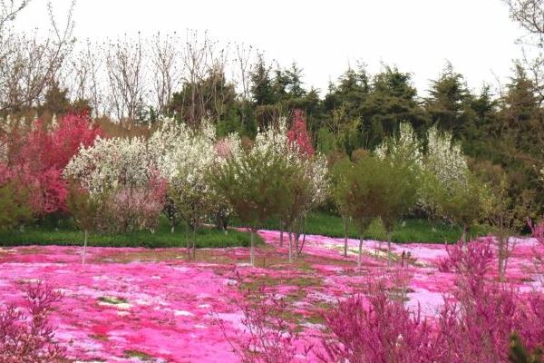 大连英歌石植物园具体地址在哪 在大连哪里