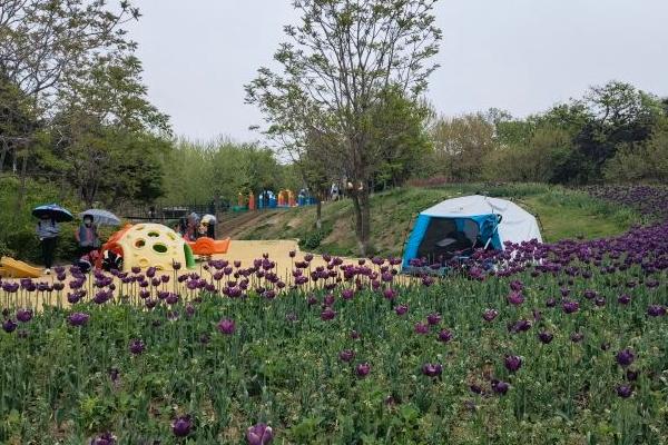 大连英歌石植物园具体地址在哪 在大连哪里