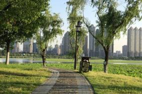 2024武汉沙湖公园游玩攻略-门票价格-景点信息
