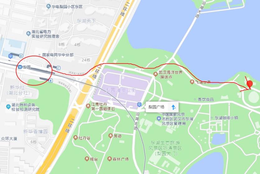 东湖国际大马戏在哪里?怎么过去方便?