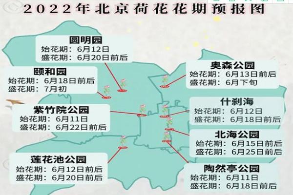 2022北京荷花最佳观赏时间及观赏地