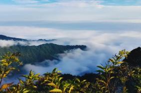 湖北夏季避暑圣地有哪些 湖北夏季避暑旅游好去处