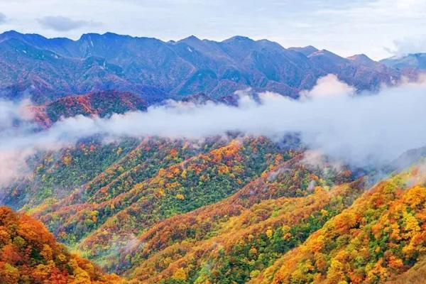 湖北夏季避暑圣地有哪些 湖北夏季避暑旅游好去處