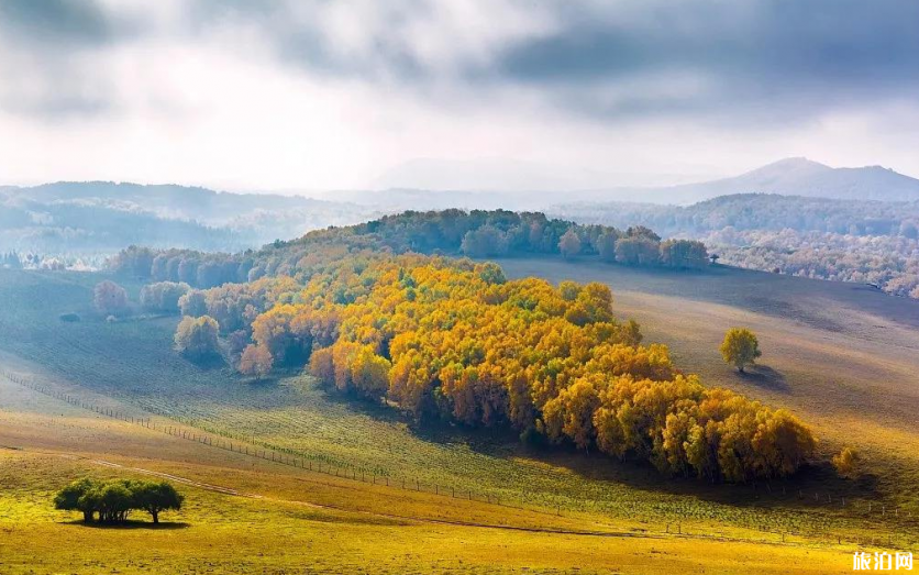 乌兰布统草原在哪里 乌兰布统草原秋天好看吗