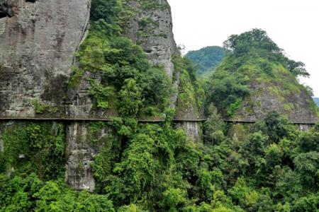 2022广东五指山景区地址 - 门票 - 游玩攻略
