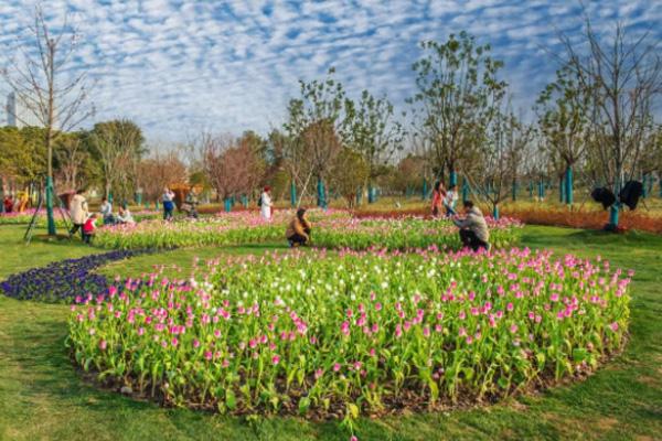 2022上海世博文化公园旅游攻略 - 门票价格 - 开放时间 - 地址 - 交通