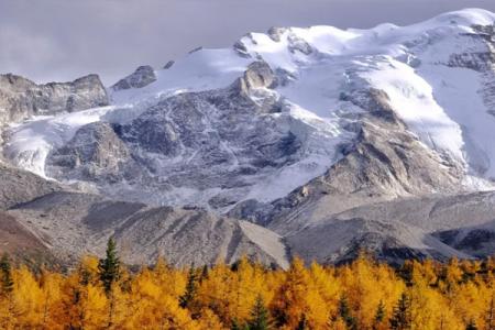 2023亚拉雪山风景区旅游攻略 - 门票价格 - 开放时间 - 交通