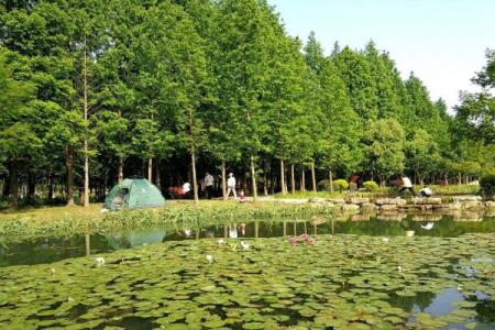 2023虎丘湿地公园游玩攻略 - 门票价格 - 开放时间 - 景点介绍 - 简介 - 交通 - 地址 - 电话 - 天气
