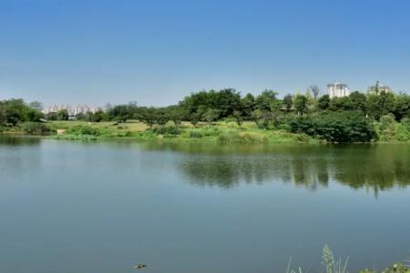 2022成都青龙湖湿地公园门票价格 - 开放时间 - 地址 - 交通