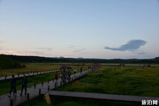 塞罕壩國家森林公園自駕游攻略