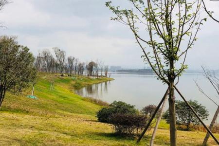 2022兴隆湖湿地公园开放时间 - 门票 - 交通 - 地址